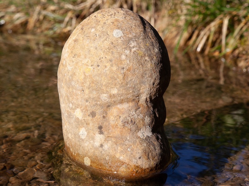 Stein